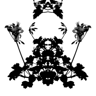 Illustration for article titled Shooting Challenge Rorschach Gallery